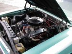 P5020010