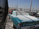 IMG_4461.JPG